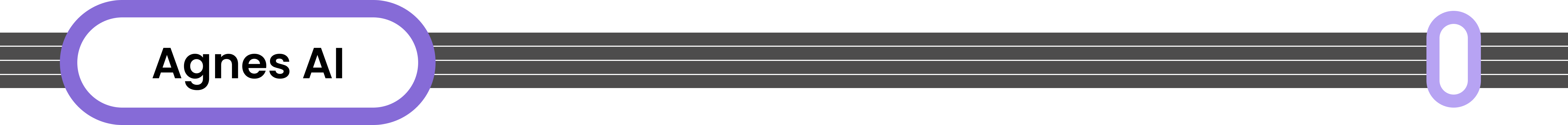Agnes AI Rail Introduction